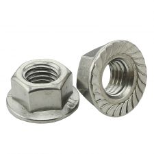 Serrated Flanged Hex Nuts Only Z/Y M12 (100/bx) E 