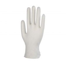 XL Sante Vinyl Examination Gloves - Powder Free  
