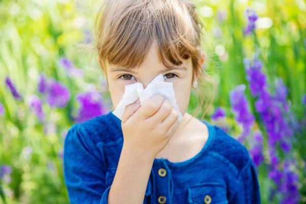How to Reduce Allergies with an Air Purifier